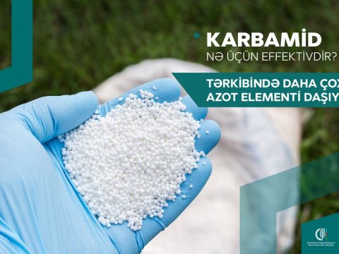 Karbamid gübrəsini necə düzgün istifadə etməli? - Fermerlərə tövsiyə