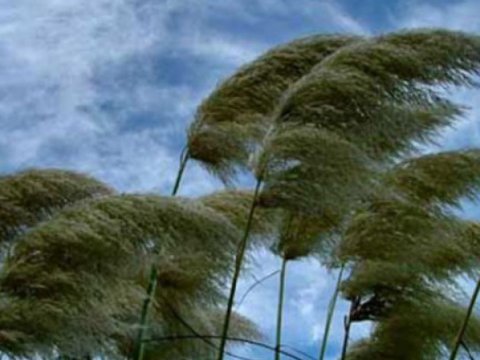 Sabahın havası: Külək, qar...