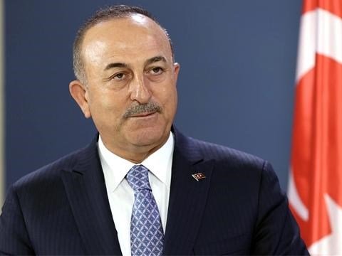 Azərbaycan bütün təyyarələrini bizim üçün səfərbər edib - Çavuşoğlu