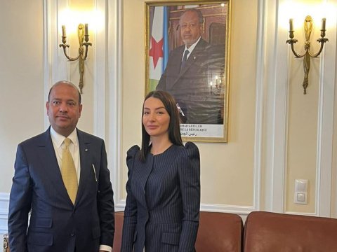 Leyla Abdullayeva iki həmkarı ilə görüşdü 