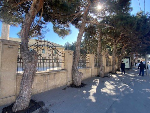 Ağacların dibi asfaltdan təmizlənib - FOTOLAR