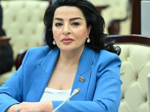 Deputat “Sabahın alimləri”ndən yazdı