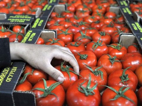 Azərbaycandan xaricə pomidor satanların gəlirləri AZALIB