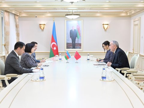 Sahibə Qafarova Mərakeş səfirilə görüşdü 