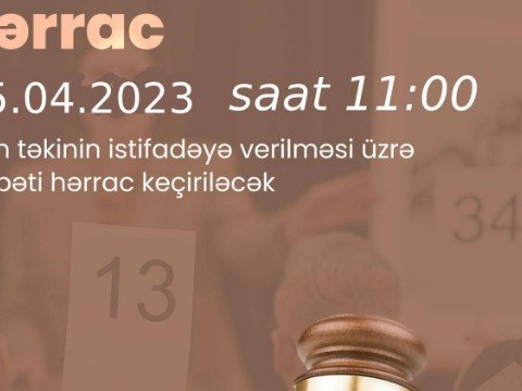 Yeddi faydalı qazıntı yatağı hərraca çıxarılır