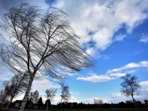 Sabah da güclü külək əsəcək - Proqnoz