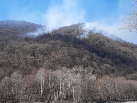 “Şahdağ”dakı yanğın söndürüldü - YENİLƏNİB 