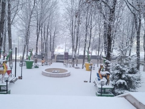 Şuşaya güclü qar yağıb - FOTO