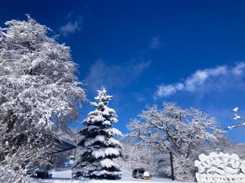 Milli parklarımızı ziyarət etməyin əsl vaxtıdır - FOTOLAR