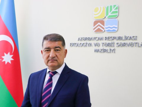 Bu il 3 milyon ağac əkməyi hədəfləyirik - Nazir müavini