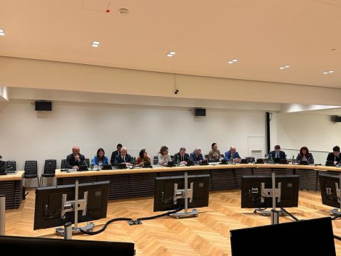 ATƏT PA-nın İpək Yolu Qrupu Vyanada toplaşdı - FOTOLAR 