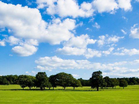 Bazar gününün hava PROQNOZU