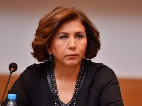 Qadınlar və uşaqlar zorakılığa məruz qalmamalıdır - Komitə sədri