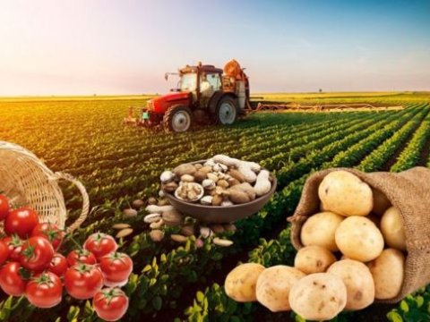 Bakıdan kəndlərə qayıdış dövrü BAŞLAYIR