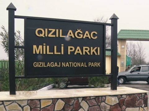 “Qızılağac”a yeni direktor təyin edildi - FOTO