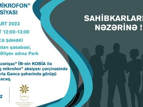 Sahibkarlarla növbəti görüş Gəncədə keçiriləcək