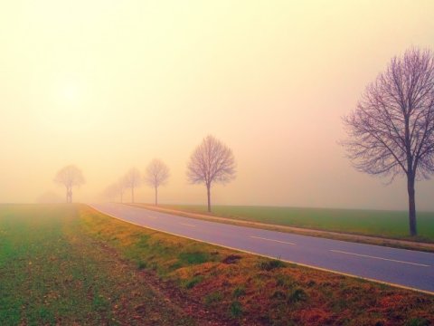 Duman, külək, 22 dərəcə isti - Günün havası