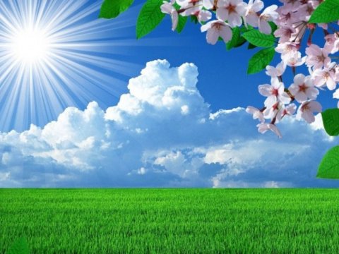 Martın hava proqnozu - 25 dərəcə isti...