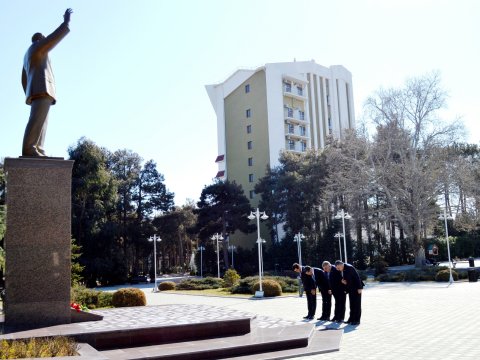 Naftalanda ağacəkmə aksiyası keçirilib - FOTOLAR