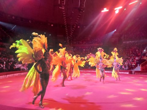 Bakı Dövlət Sirki “DZİVA” şousunun nümayişinə başlayır