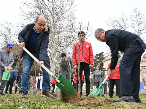 Nazirlər ağac əkdilər - FOTO