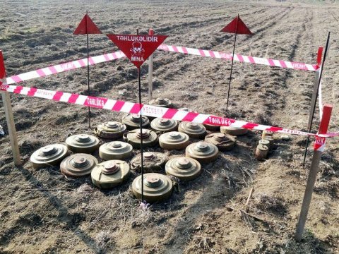 Qarabağda 69 min hektar ərazi minalardan təmizlənib