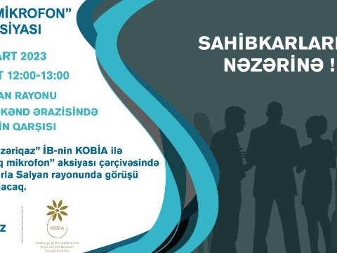 Sahibkarlarla növbəti görüş Salyanda olacaq