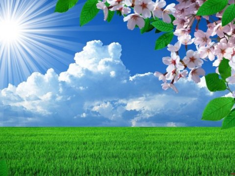 8 Martda hava belə olacaq - PROQNOZ