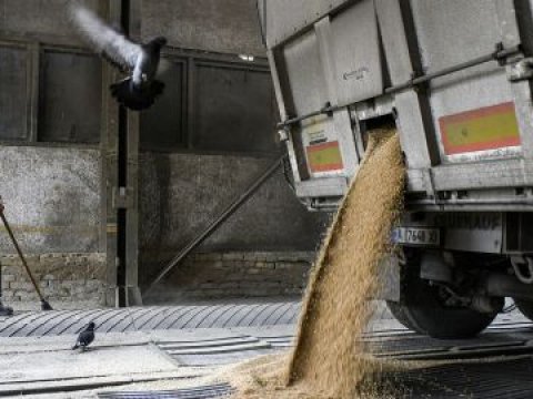 Ukrayna taxıl sazişini uzatmaq üçün danışıqlara başlayıb