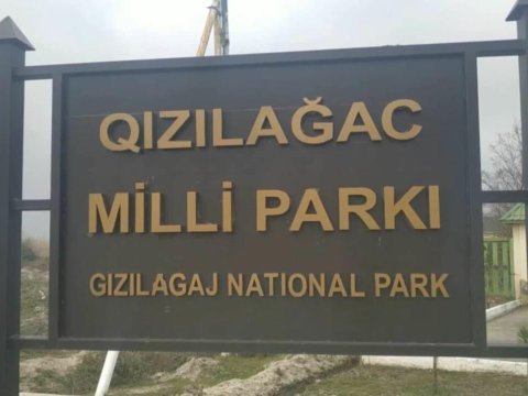 Qızılağacda balıq ovlayan şəxs tutuldu