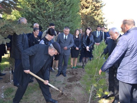 Füzulidə ağacəkmə aksiyası keçirildi