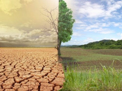 Məşhur elmi jurnaldan Türkiyə ilə bağlı TƏHLÜKƏLİ PROQNOZ