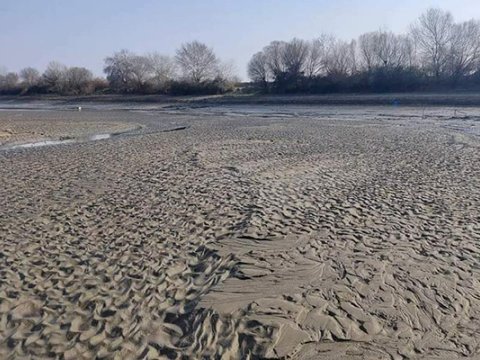 Kürdəki vəziyyətlə bağlı arxeoloji kəşfiyyat işləri aparılıb