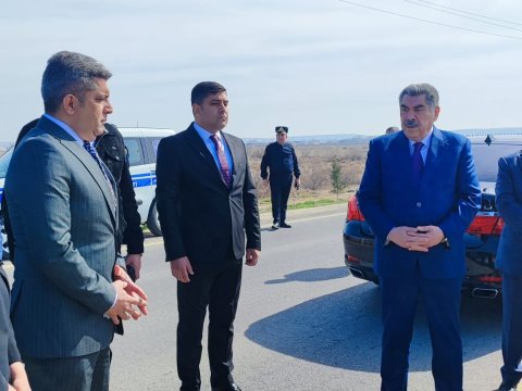 Hacıqabulda ağacəkmə aksiyası - FOTOLAR