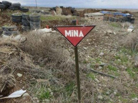 Azad edilmiş ərazilərdə daha 48 mina aşkarlanıb