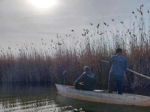 Milli Parkda mühafizə rejimi pozulub