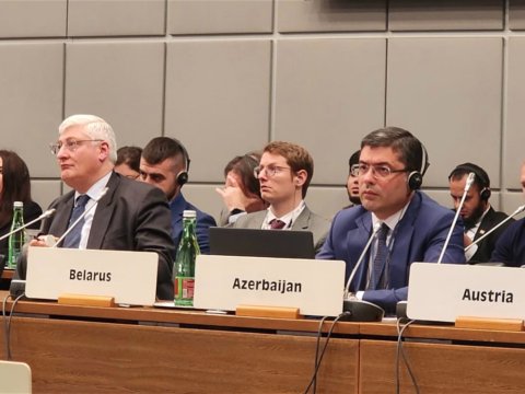 MEDİA rəhbəri ATƏT-in toplantısında - FOTO