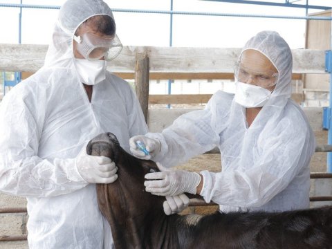İdxalı qadağan edilən mallarla bağlı yeni qayda