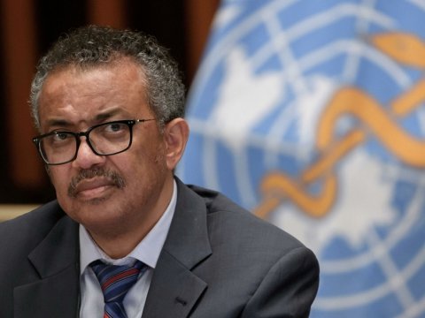 Pandemiya bu il başa çatacaq - ÜST rəhbəri