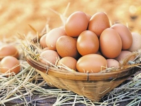 Yumurtanın qiyməti artıb? - AÇIQLAMA