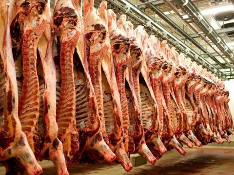 Azərbaycanda ət istehsalı artıb