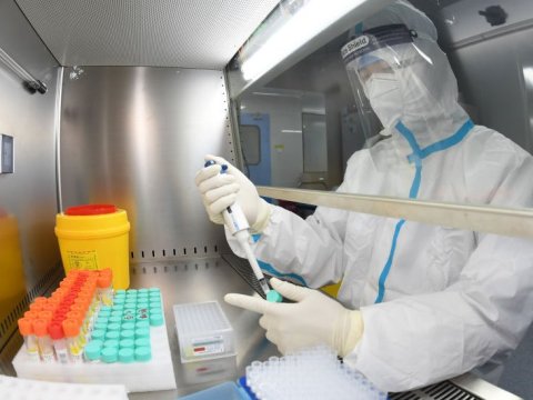 Daha 5 nəfər COVID-19-a yoluxdu - Ölən olmayıb