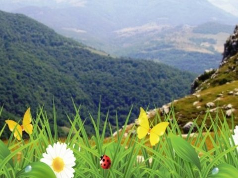 Şənbə gününün havası - Yağmursuz, 23 dərəcə isti...