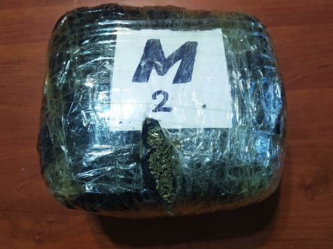 Bərdədə narkotikə görə 11 nəfər saxlanıldı - FOTOLAR