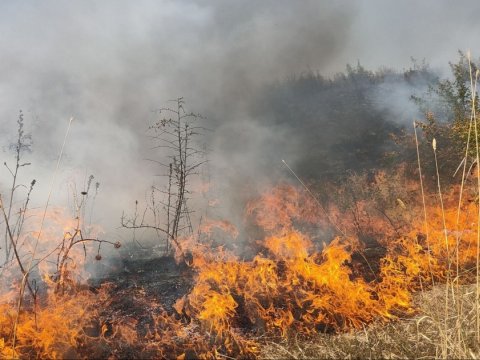 Hirkan Milli Parkındakı yanğın SÖNDÜRÜLDÜ