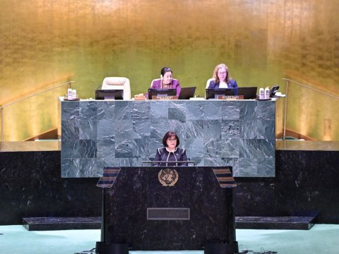 Spiker BMT-də Ermənistanın ekoloji terrorundan danışdı - FOTOLAR