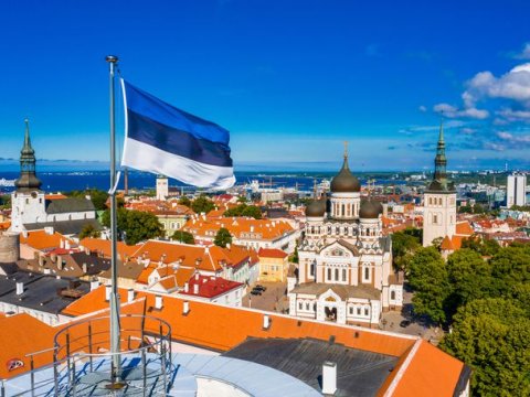 Estonların 98 faizi Ukraynanı dəstəkləyir