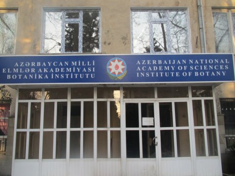 Botanika institutu söküləcək? - Rəsmi açıqlama