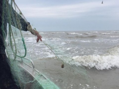 Su hövzələrindən 10 sintetik tor götürülüb - Nazirlik