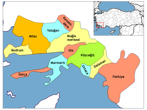 Türkiyədə yenə zəlzələ oldu